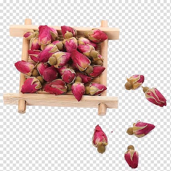 Flowering tea Green tea Beach rose Herbal tea, Dry roses transparent background PNG clipart