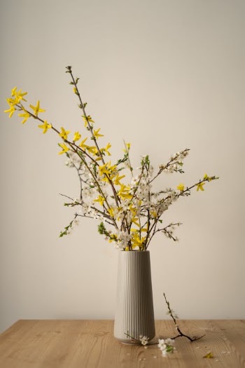 Flowering Tree Twigs in Vase · Free Stock Photo