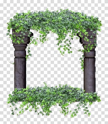 Flowerpot Apyžiedis bucket, flower transparent background PNG clipart