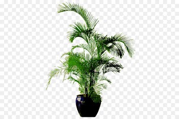 Flowerpot Bonsai Download - Green flower pot 