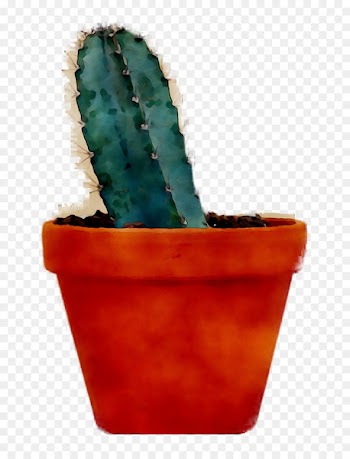 Flowerpot, Cactus PNG