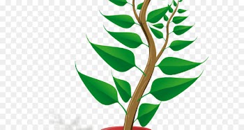 Flowerpot Clip art Houseplant Plants Portable Network Graphics - nvr cartoon 