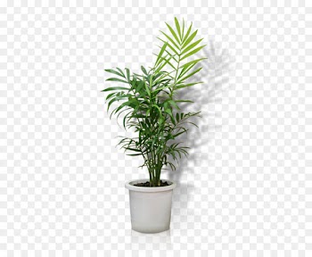 Flowerpot Crock Houseplant Bonsai - Potted 