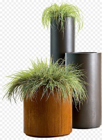 Flowerpot De Castelli Vase Flower box Plant - Green plant potted png free png 