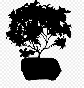 Flowerpot Desktop Wallpaper Bonsai Computer Silhouette -  