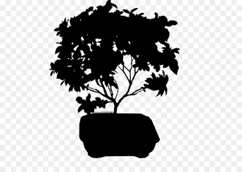 Flowerpot Desktop Wallpaper Bonsai Computer Silhouette -  
