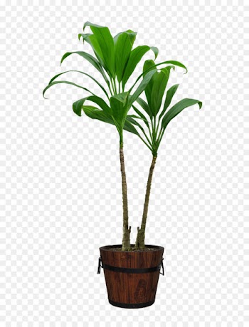 Flowerpot Download Computer file - Potted 