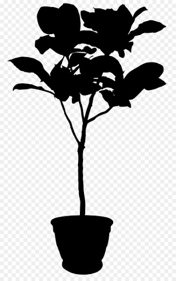 Flowerpot Euclidean vector Masseter muscle Lateral pterygoid muscle -  