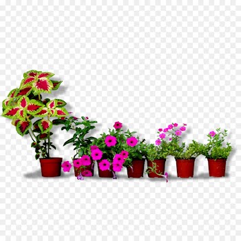 Flowerpot Floral design Bonsai - Flower Pots 