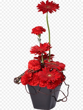 Flowerpot Flower bouquet Red Bonsai - Potted 