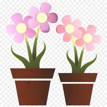 Flowerpot, Flower, Istock PNG