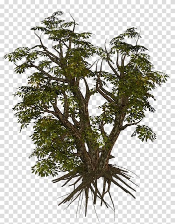Flowerpot Houseplant, autumn trees transparent background PNG clipart
