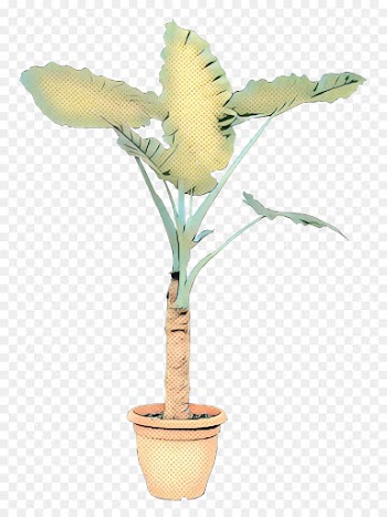 Flowerpot, Houseplant, Bonsai, Flower PNG