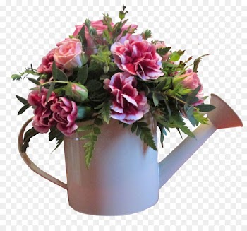 Flowerpot Houseplant - Flower kettle 