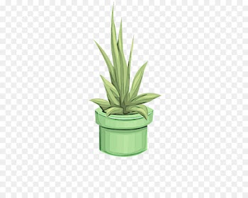 flowerpot houseplant green plant agave