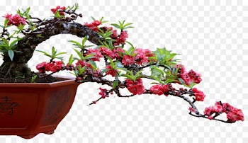 Flowerpot Layue Month Calendar Flowering plant -  