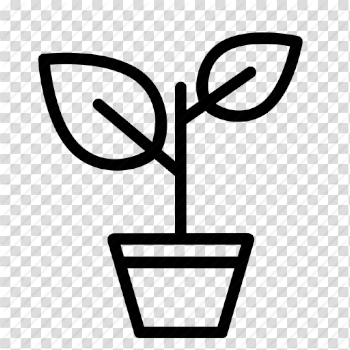 Flowerpot, leave, nature, plant, pot, tree icon