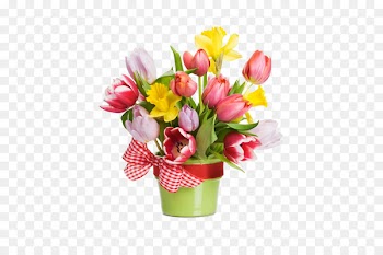 Flowerpot Stock photography Flower bouquet Clip art - Beautiful tulip flower pictures 