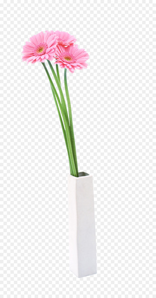 Flowerpot Vase Clip art Image - ornamental plant 