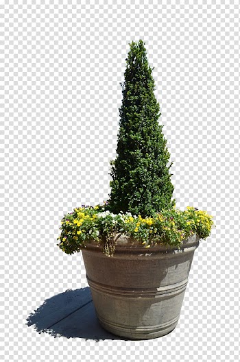 Flowerpot Vase , flower pot transparent background PNG clipart