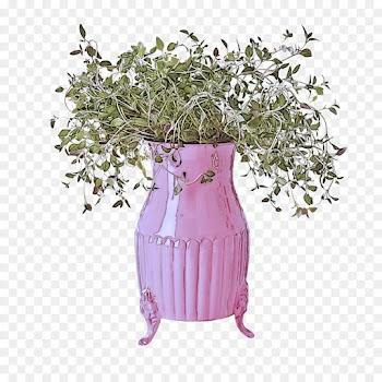 flowerpot vase pink plant lilac