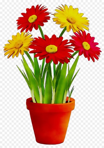 Flowerpot Vector graphics Stock photography Plants Garden Cosmos -  
