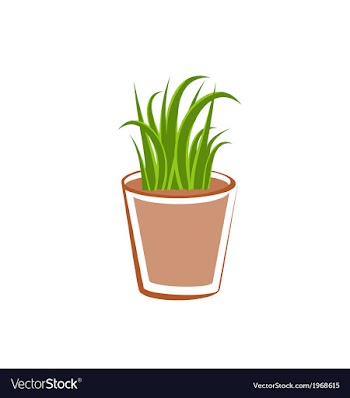  					Flowerpot with green grass plants vector image														