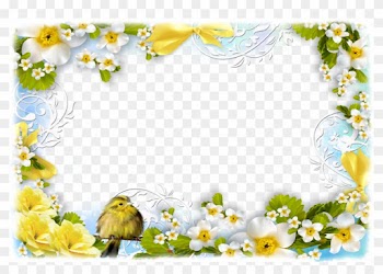 Flowers And Birds - Birds And Flowers Borders