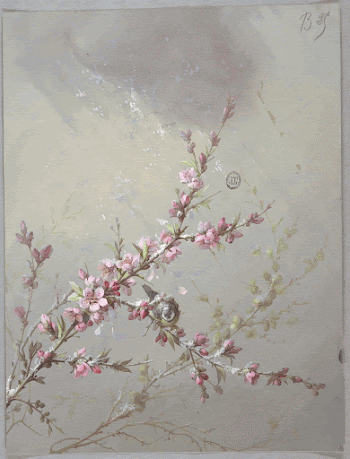 Flowers and birds design for wallpaper | Free Photo - rawpixel