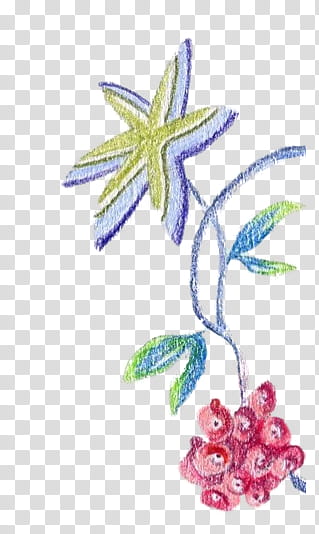 Flowers and Birds P, red fruit painting illustration transparent background PNG clipart
