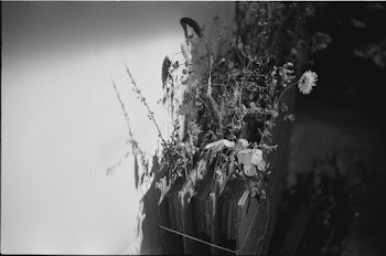 Flowers and Cartons