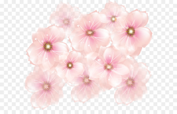 Flowers Background Free png download - 899*775 - Free Transparent ...