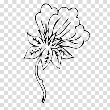 Flowers, black flower transparent background PNG clipart
