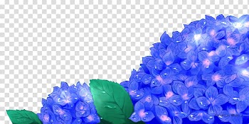 Flowers, blue petal flowers transparent background PNG clipart