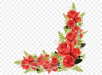 Flowers Border 