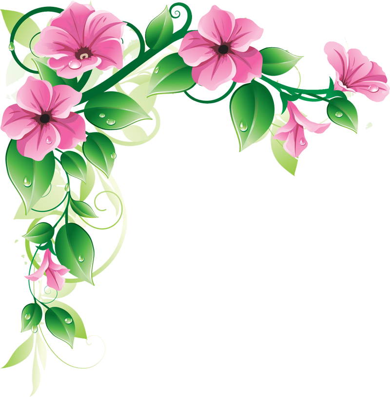 flowers borders Floral Design PNG