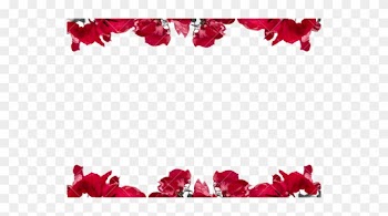 Flowers Borders Png - Floral Border Transparent Background