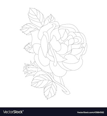 flowers bouquet coloring book page