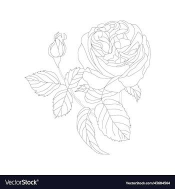 flowers bouquet coloring book page