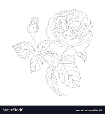 flowers bouquet coloring book page