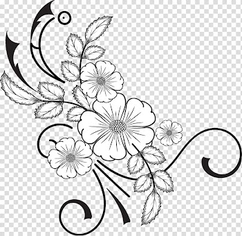 Flowers Brushes, white flower illustration transparent background PNG clipart
