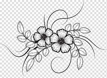 Flowers Brushes, white flowers illustration transparent background PNG clipart
