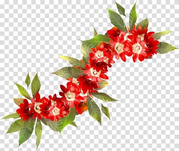 Flowers Celiuska, red flowers transparent background PNG clipart
