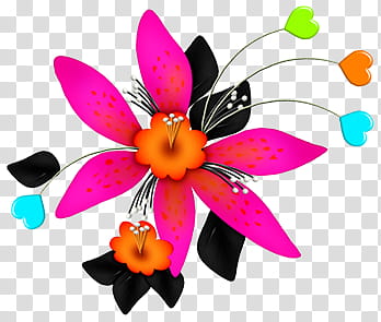 Flowers Colours, multicolored flower heart template transparent background PNG clipart