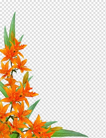 Flowers corners, orange petaled flower transparent background PNG clipart