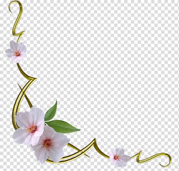 Flowers corners, pink petaled flowers transparent background PNG clipart