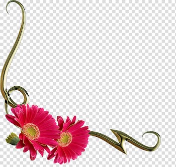 Flowers corners, red daisy flower art transparent background PNG clipart
