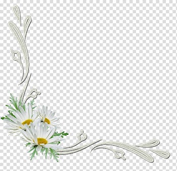 Flowers corners, white daisy frame art transparent background PNG clipart