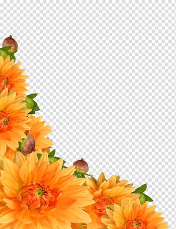 Flowers corners, yellow flowers in bloom transparent background PNG clipart