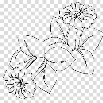 Flowers, flowers illustration transparent background PNG clipart
